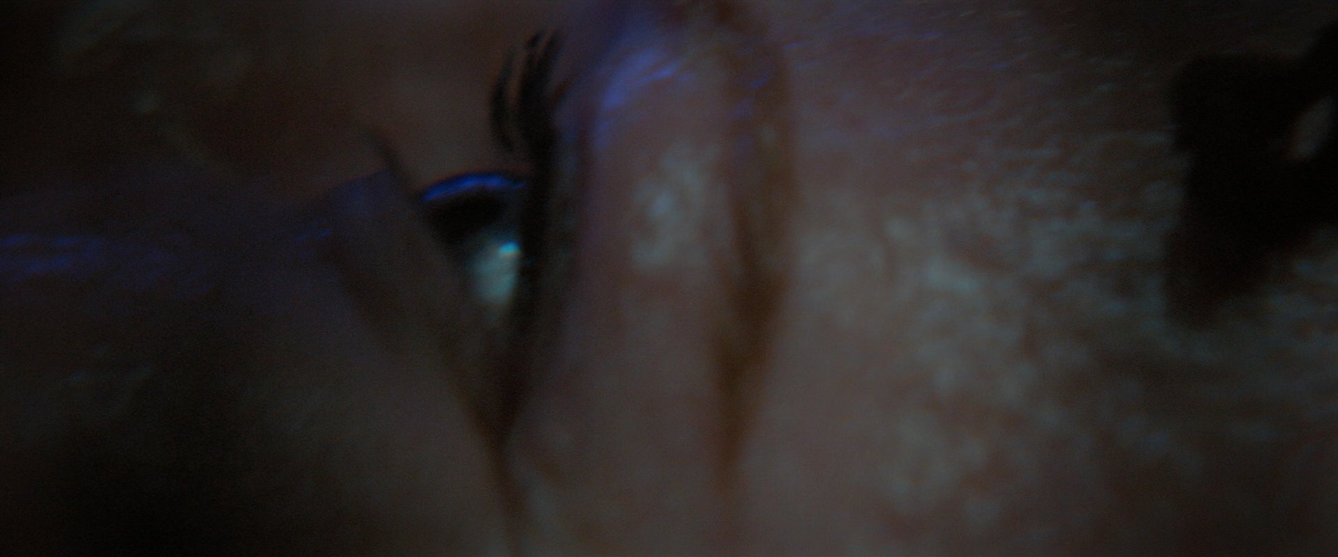 extant_StarTrekDiscovery_2x05-SaintsOfImperfection_01627.jpg