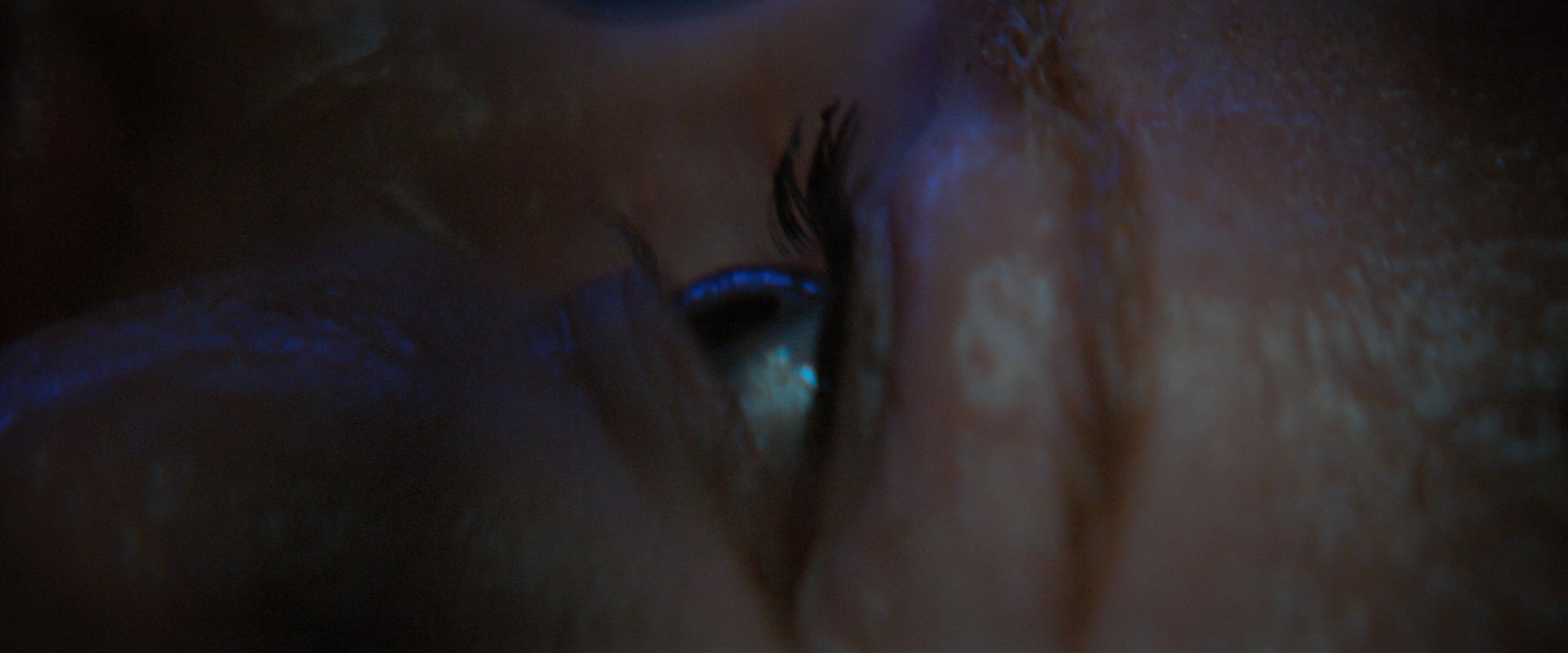 extant_StarTrekDiscovery_2x05-SaintsOfImperfection_01628.jpg