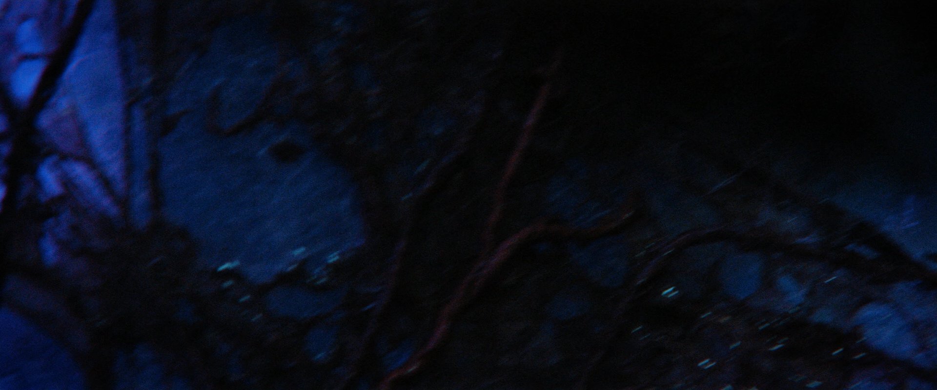 extant_StarTrekDiscovery_2x05-SaintsOfImperfection_01629.jpg
