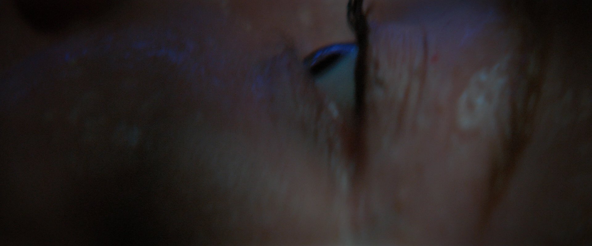 extant_StarTrekDiscovery_2x05-SaintsOfImperfection_01642.jpg