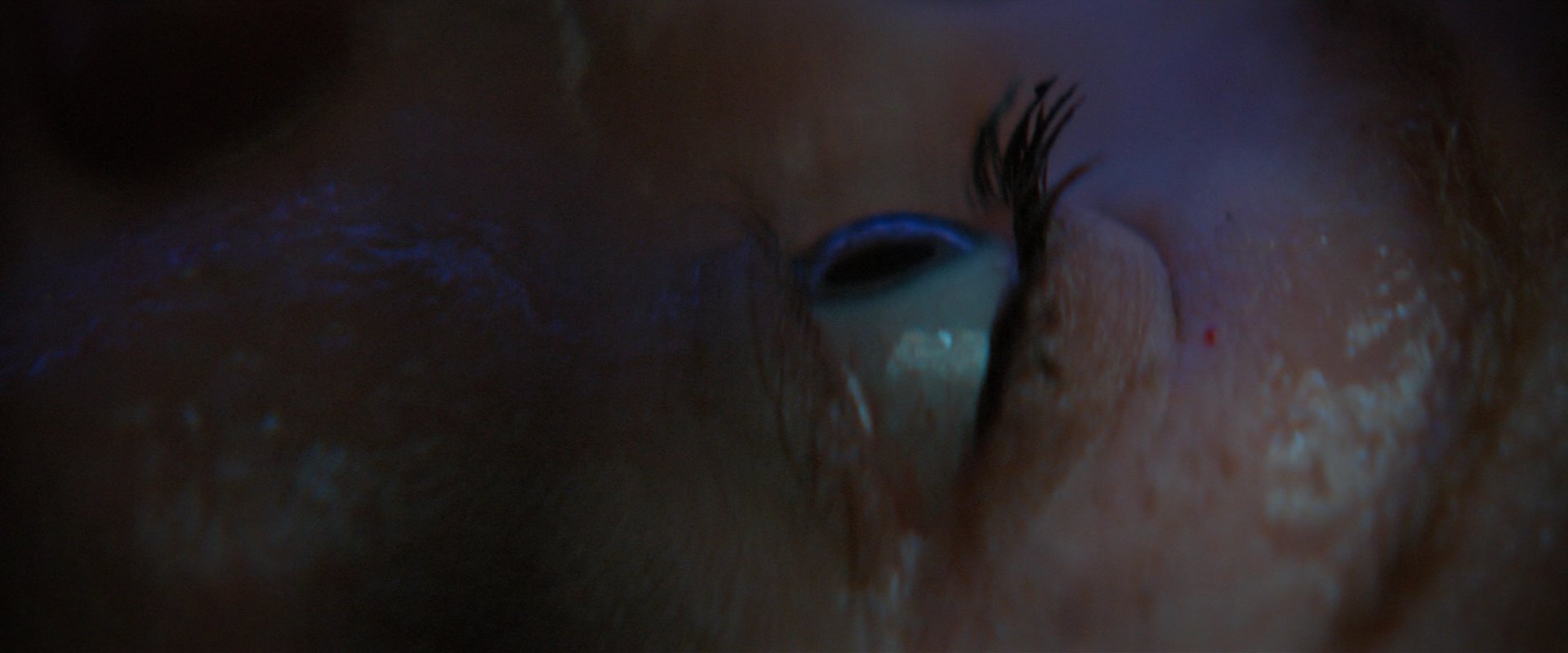 extant_StarTrekDiscovery_2x05-SaintsOfImperfection_01643.jpg