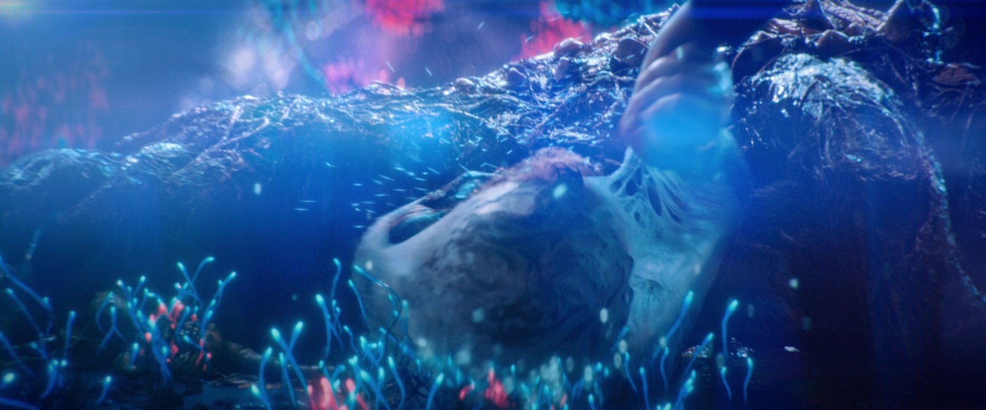 extant_StarTrekDiscovery_2x05-SaintsOfImperfection_01647.jpg