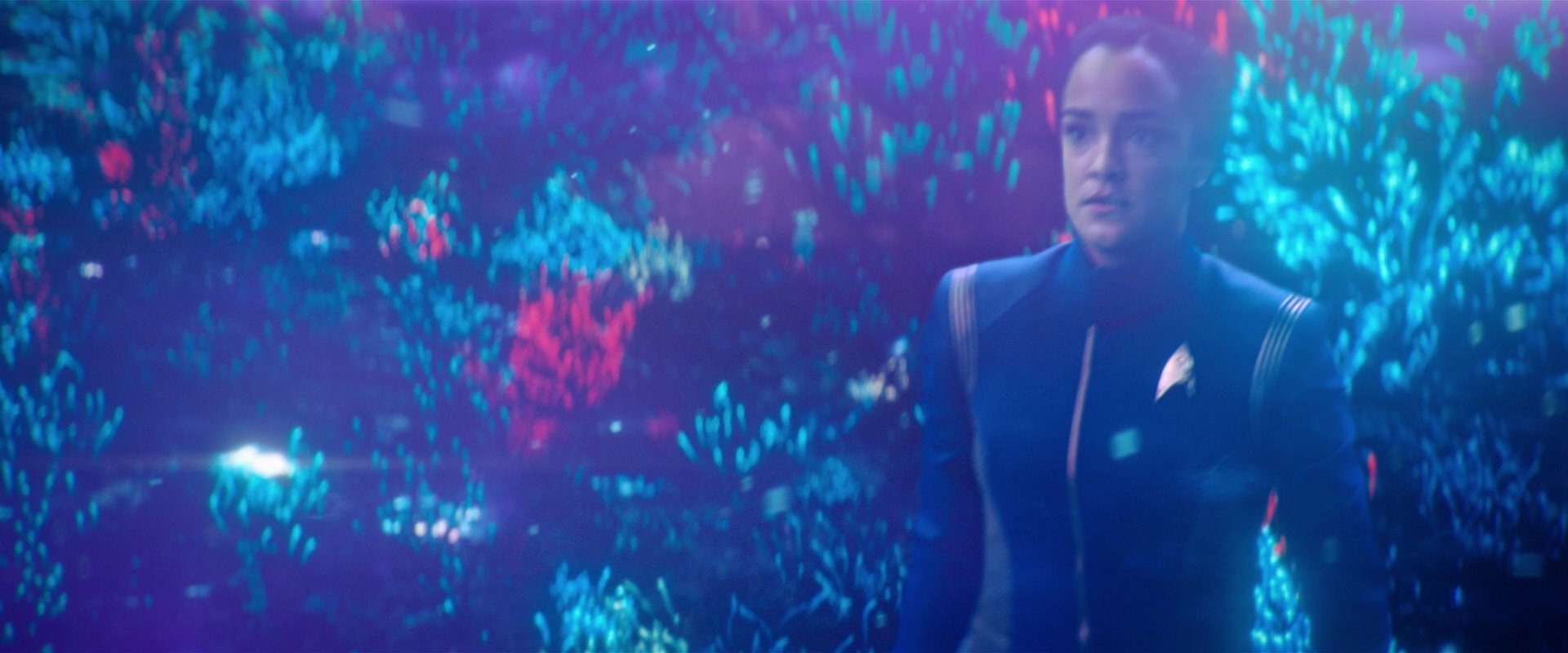 extant_StarTrekDiscovery_2x05-SaintsOfImperfection_01674.jpg