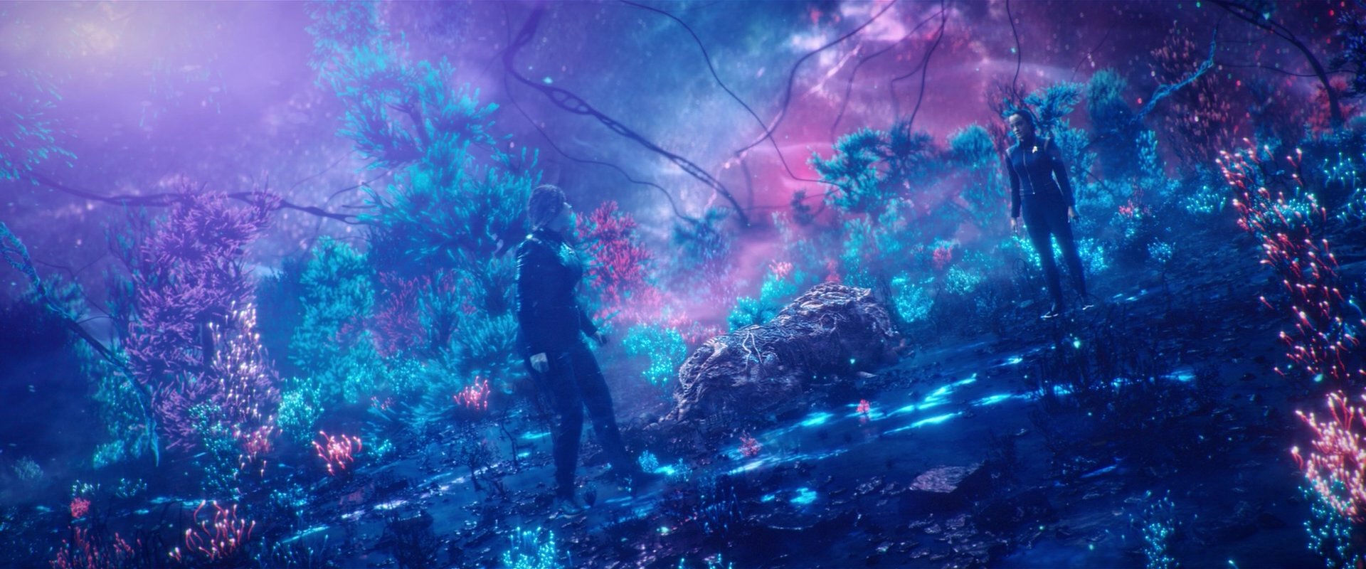 extant_StarTrekDiscovery_2x05-SaintsOfImperfection_01699.jpg