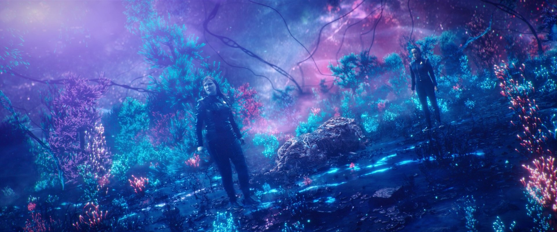 extant_StarTrekDiscovery_2x05-SaintsOfImperfection_01700.jpg