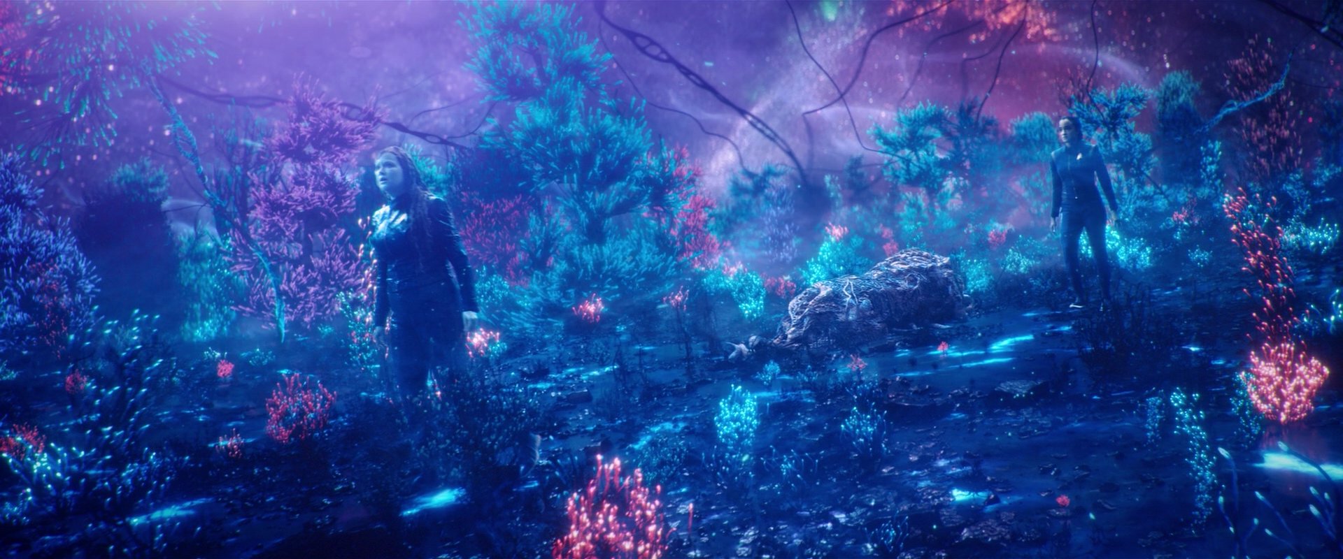 extant_StarTrekDiscovery_2x05-SaintsOfImperfection_01705.jpg