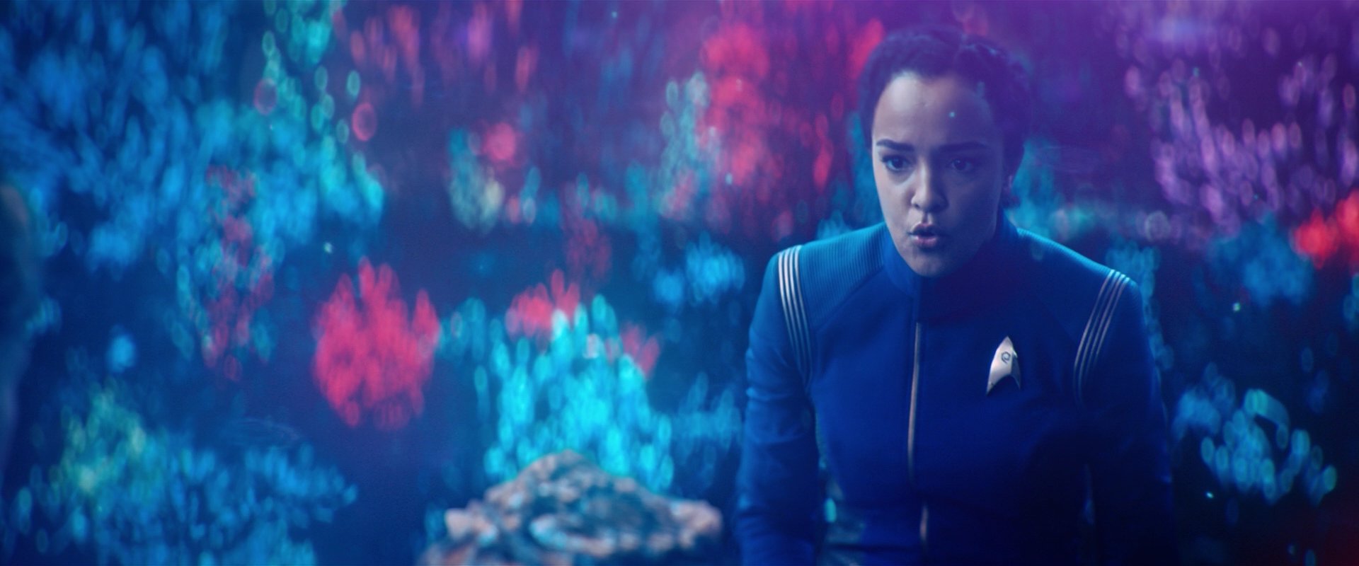 extant_StarTrekDiscovery_2x05-SaintsOfImperfection_01753.jpg