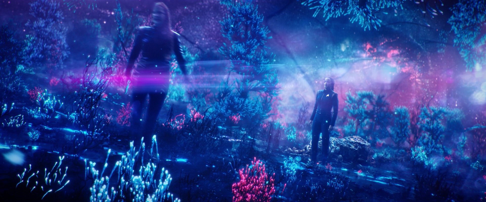 extant_StarTrekDiscovery_2x05-SaintsOfImperfection_01812.jpg