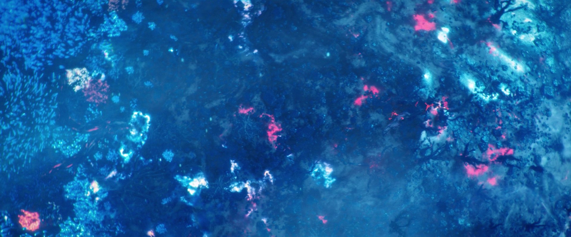 extant_StarTrekDiscovery_2x05-SaintsOfImperfection_02285.jpg
