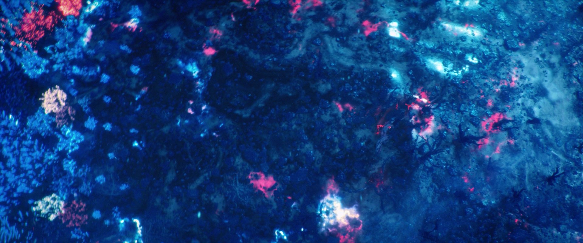 extant_StarTrekDiscovery_2x05-SaintsOfImperfection_02288.jpg