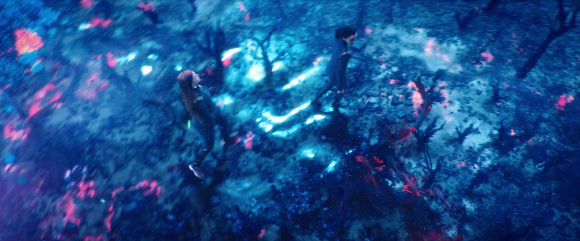 extant_StarTrekDiscovery_2x05-SaintsOfImperfection_02293.jpg