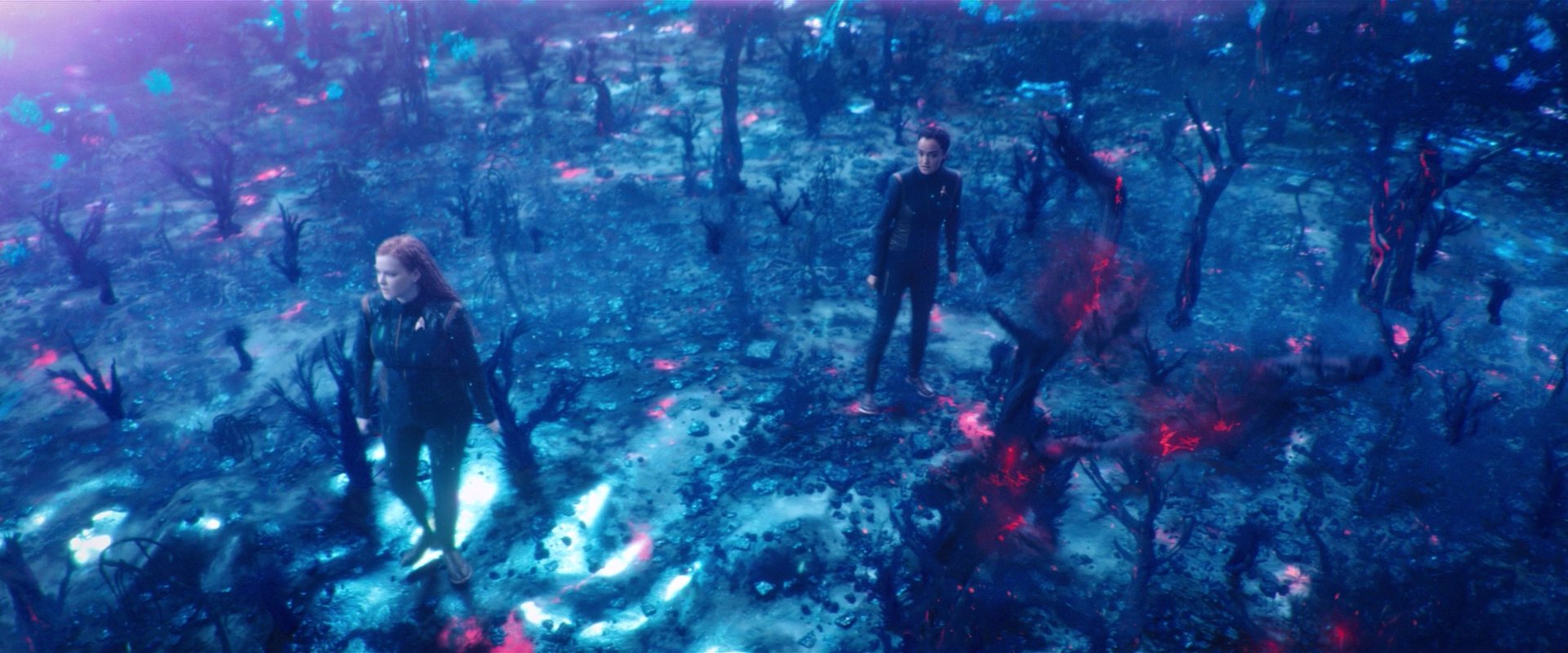 extant_StarTrekDiscovery_2x05-SaintsOfImperfection_02296.jpg