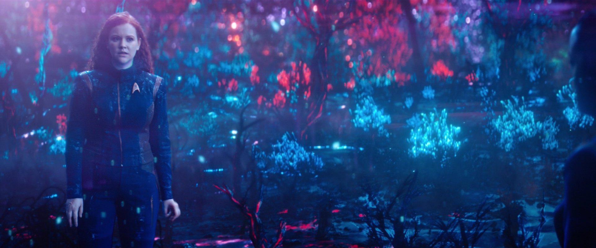 extant_StarTrekDiscovery_2x05-SaintsOfImperfection_02306.jpg