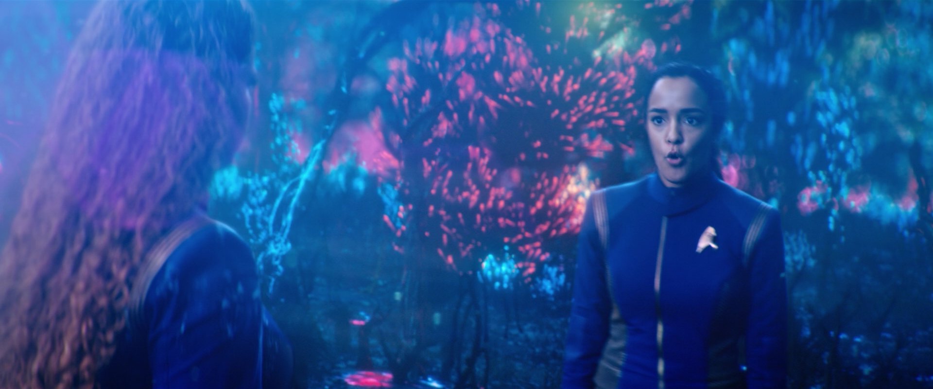 extant_StarTrekDiscovery_2x05-SaintsOfImperfection_02313.jpg