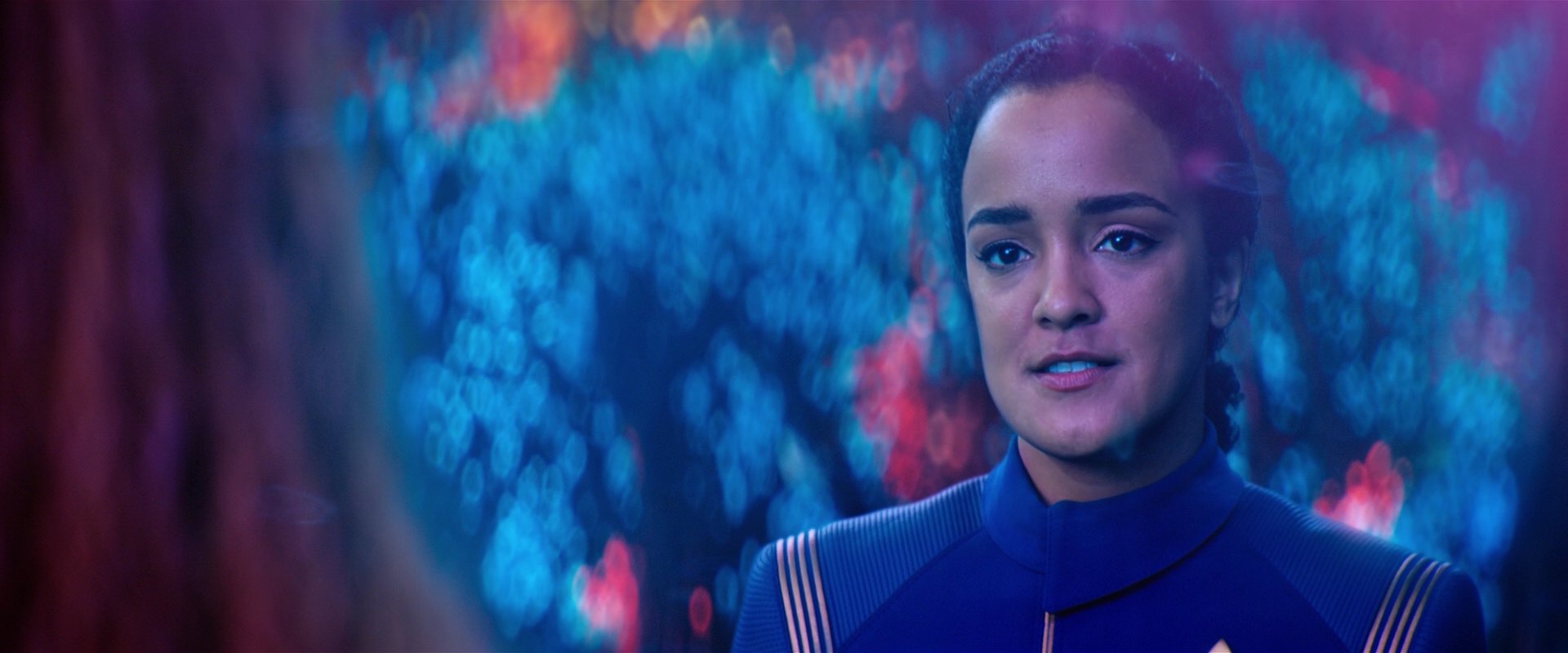 extant_StarTrekDiscovery_2x05-SaintsOfImperfection_02381.jpg