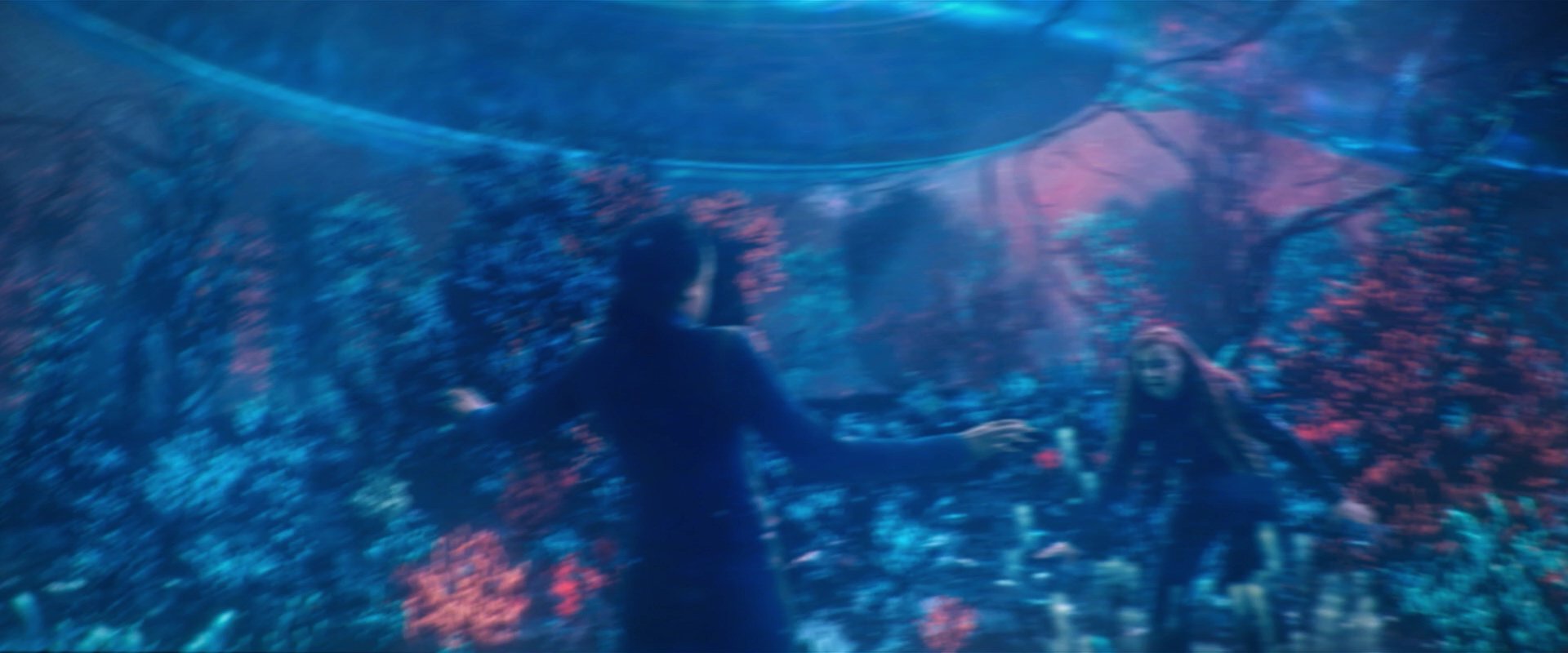 extant_StarTrekDiscovery_2x05-SaintsOfImperfection_02810.jpg