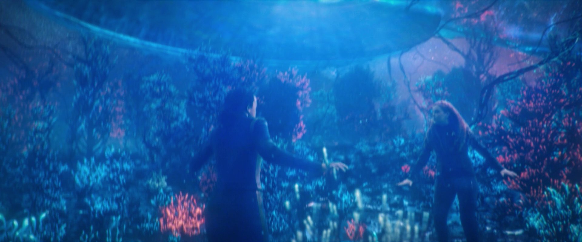 extant_StarTrekDiscovery_2x05-SaintsOfImperfection_02811.jpg