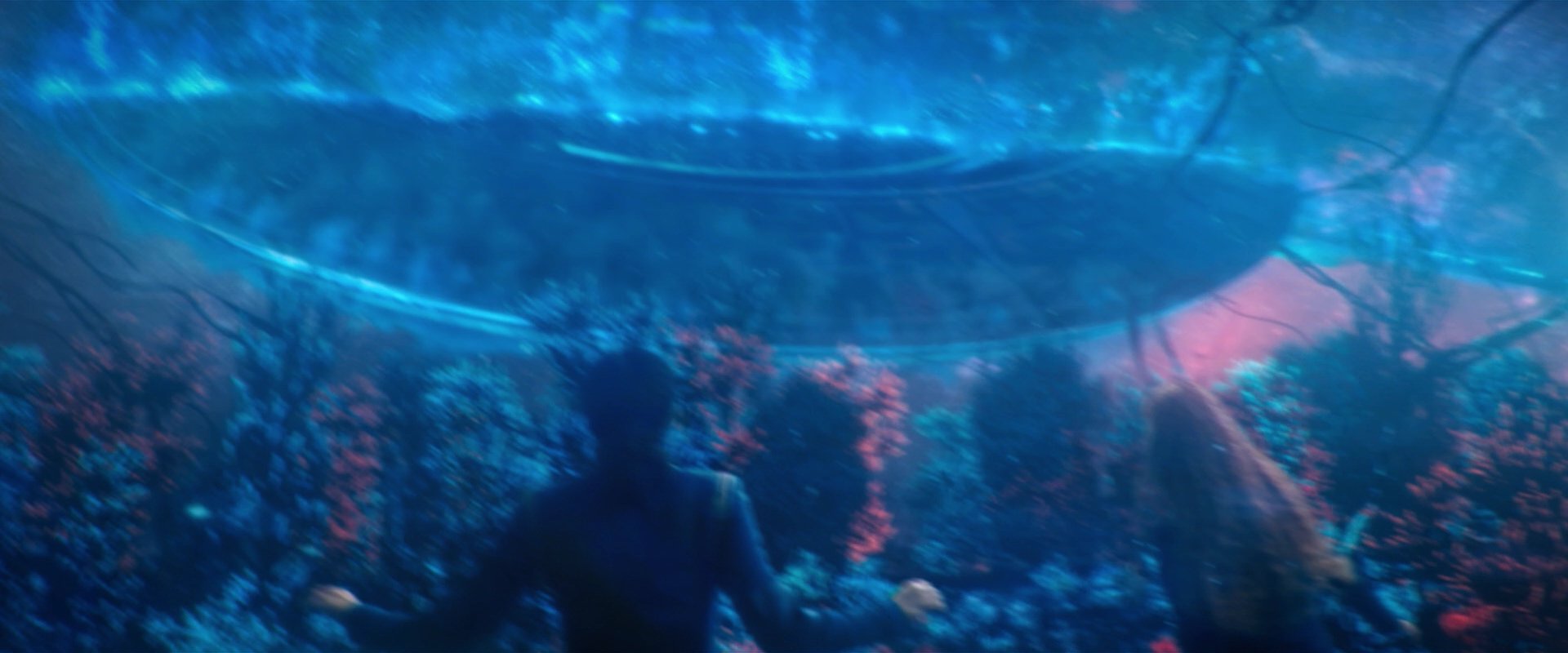 extant_StarTrekDiscovery_2x05-SaintsOfImperfection_02815.jpg