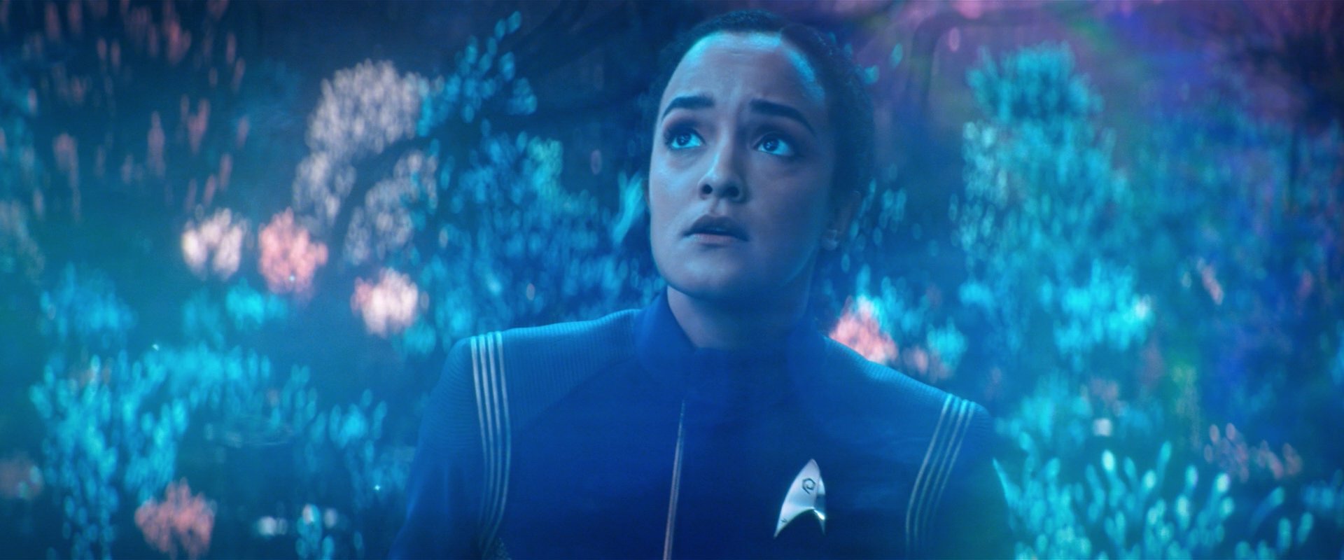 extant_StarTrekDiscovery_2x05-SaintsOfImperfection_02826.jpg