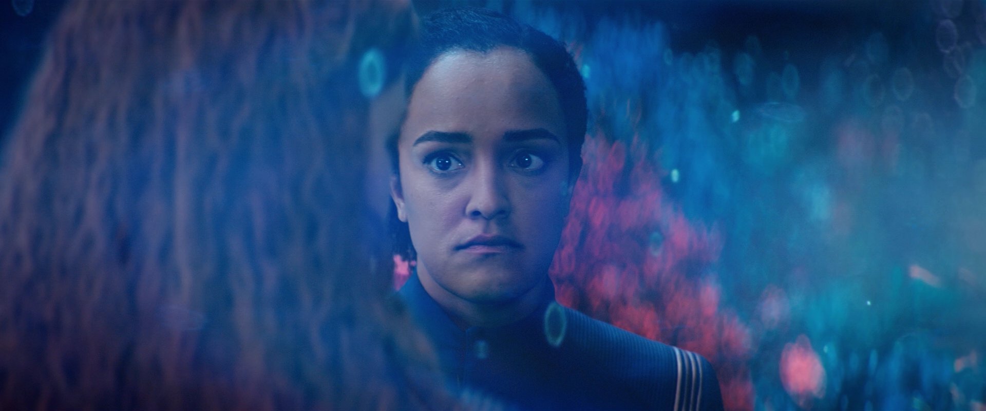 extant_StarTrekDiscovery_2x05-SaintsOfImperfection_02867.jpg