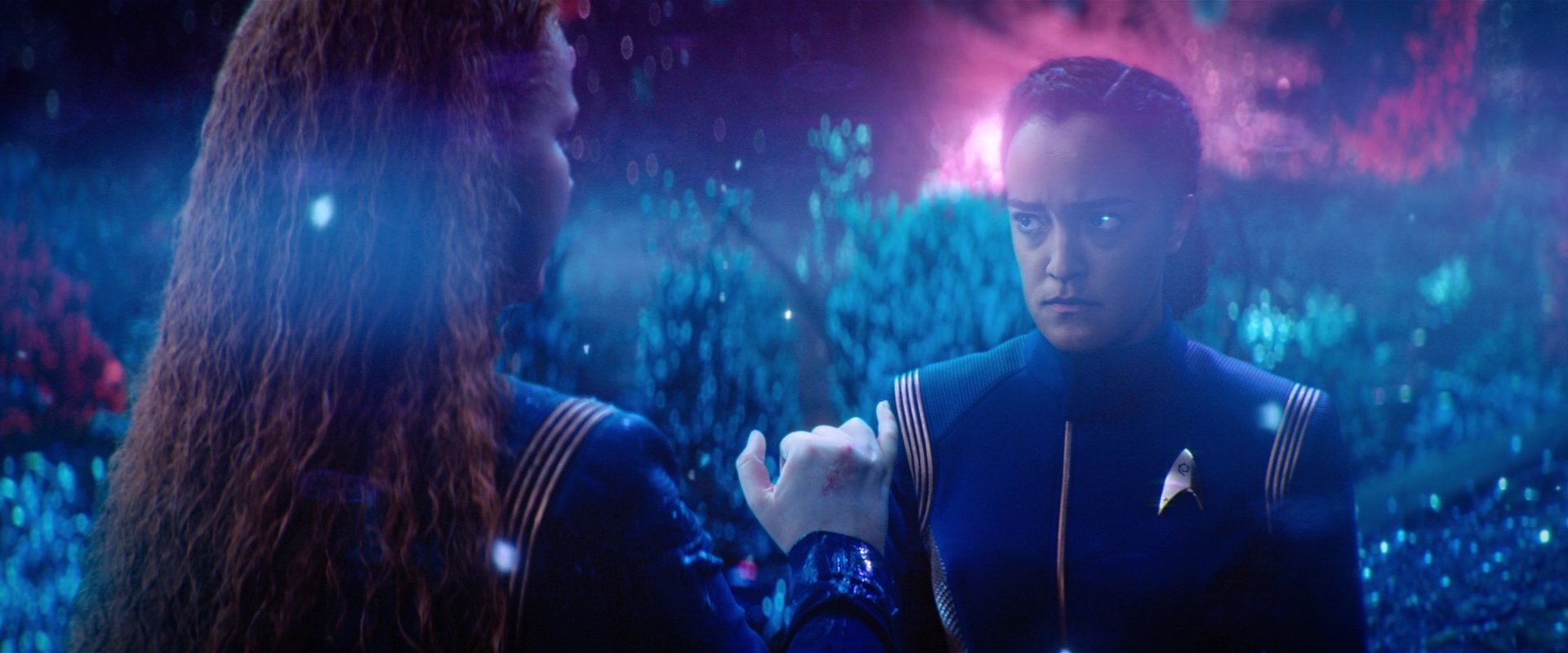 extant_StarTrekDiscovery_2x05-SaintsOfImperfection_02897.jpg