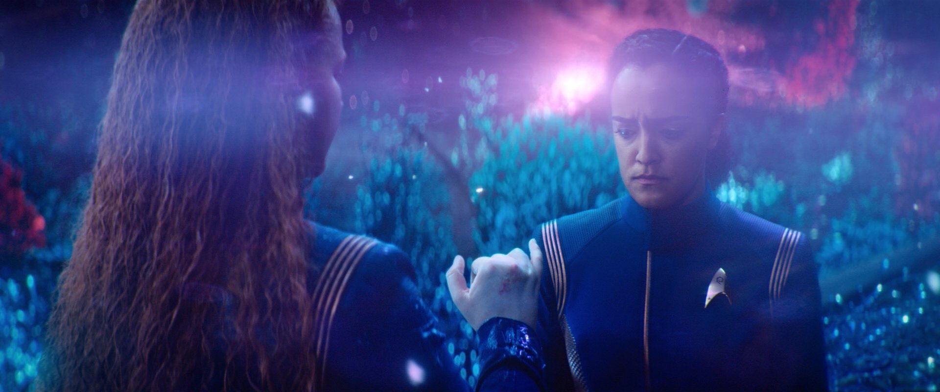 extant_StarTrekDiscovery_2x05-SaintsOfImperfection_02898.jpg