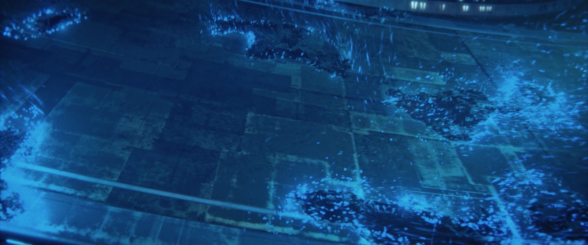 extant_StarTrekDiscovery_2x05-SaintsOfImperfection_02992.jpg