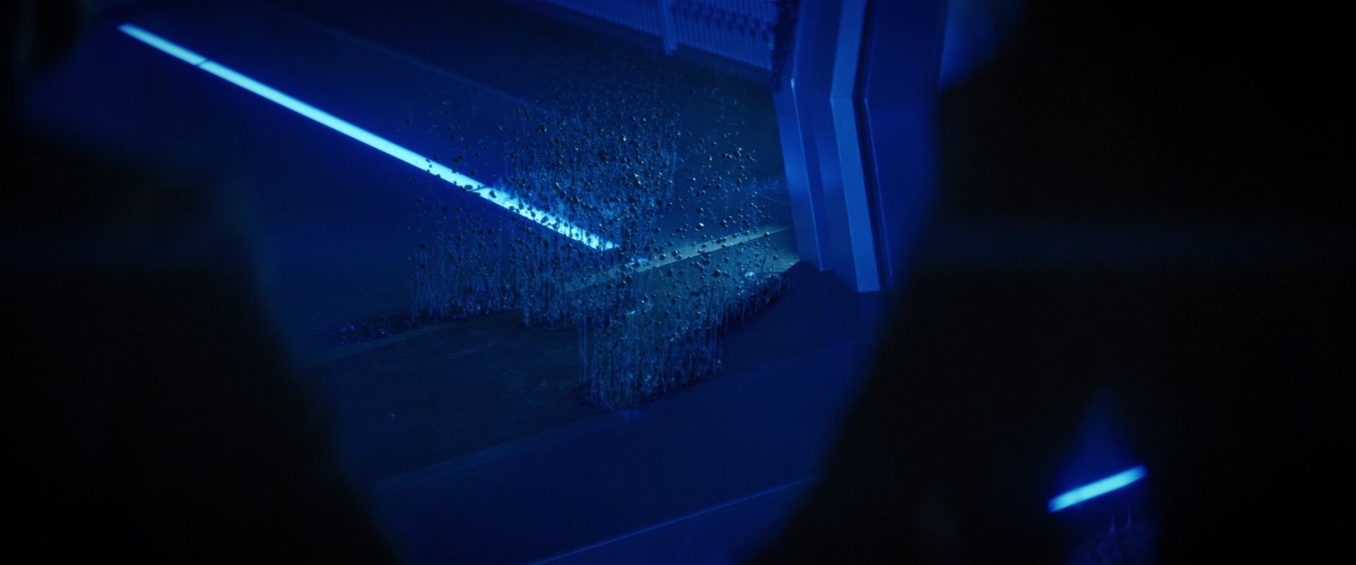 extant_StarTrekDiscovery_2x05-SaintsOfImperfection_03101.jpg