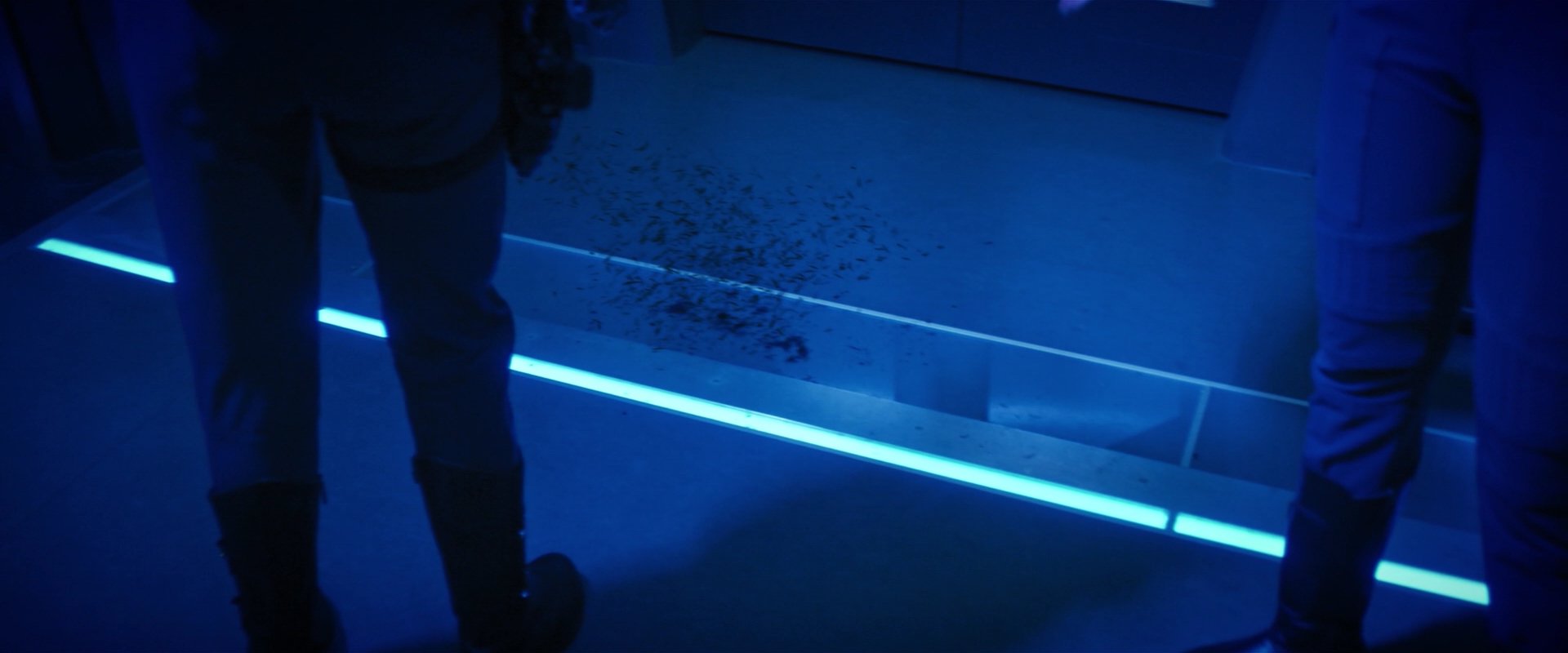 extant_StarTrekDiscovery_2x05-SaintsOfImperfection_03578.jpg
