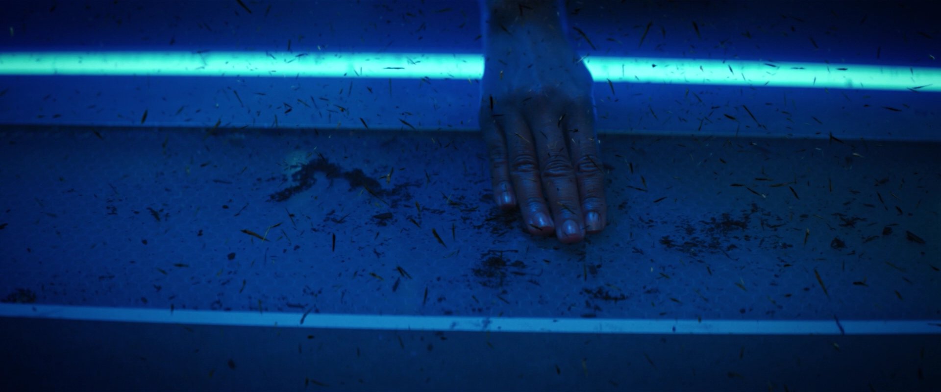 extant_StarTrekDiscovery_2x05-SaintsOfImperfection_03590.jpg