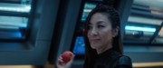 extant_StarTrekDiscovery_2x05-SaintsOfImperfection_01347.jpg