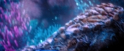 extant_StarTrekDiscovery_2x05-SaintsOfImperfection_01662.jpg