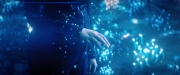 Filename=extant_StarTrekDiscovery_2x05-SaintsOfImperfection_01743.jpg
Filesize=124KiB
Dimensions=1920x800
Date added=Dec 08, 2019 extant_StarTrekDiscovery_2x05-SaintsOfImperfection_01743.jpg