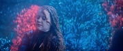 Filename=extant_StarTrekDiscovery_2x05-SaintsOfImperfection_01772.jpg
Filesize=176KiB
Dimensions=1920x800
Date added=Dec 08, 2019 extant_StarTrekDiscovery_2x05-SaintsOfImperfection_01772.jpg