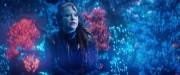 extant_StarTrekDiscovery_2x05-SaintsOfImperfection_01790.jpg