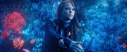 extant_StarTrekDiscovery_2x05-SaintsOfImperfection_01793.jpg