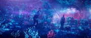extant_StarTrekDiscovery_2x05-SaintsOfImperfection_01810.jpg