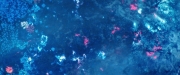 extant_StarTrekDiscovery_2x05-SaintsOfImperfection_02285.jpg