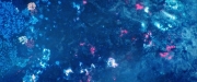Filename=extant_StarTrekDiscovery_2x05-SaintsOfImperfection_02286.jpg
Filesize=232KiB
Dimensions=1920x800
Date added=Dec 08, 2019 extant_StarTrekDiscovery_2x05-SaintsOfImperfection_02286.jpg