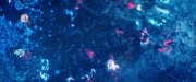 Filename=extant_StarTrekDiscovery_2x05-SaintsOfImperfection_02287.jpg
Filesize=250KiB
Dimensions=1920x800
Date added=Dec 08, 2019 extant_StarTrekDiscovery_2x05-SaintsOfImperfection_02287.jpg