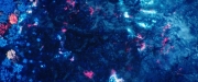 Filename=extant_StarTrekDiscovery_2x05-SaintsOfImperfection_02289.jpg
Filesize=249KiB
Dimensions=1920x800
Date added=Dec 08, 2019 extant_StarTrekDiscovery_2x05-SaintsOfImperfection_02289.jpg