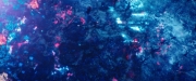Filename=extant_StarTrekDiscovery_2x05-SaintsOfImperfection_02290.jpg
Filesize=242KiB
Dimensions=1920x800
Date added=Dec 08, 2019 extant_StarTrekDiscovery_2x05-SaintsOfImperfection_02290.jpg