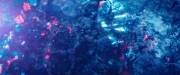 extant_StarTrekDiscovery_2x05-SaintsOfImperfection_02291.jpg