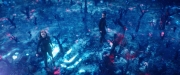 Filename=extant_StarTrekDiscovery_2x05-SaintsOfImperfection_02295.jpg
Filesize=245KiB
Dimensions=1920x800
Date added=Dec 08, 2019 extant_StarTrekDiscovery_2x05-SaintsOfImperfection_02295.jpg