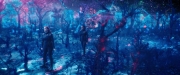 Filename=extant_StarTrekDiscovery_2x05-SaintsOfImperfection_02299.jpg
Filesize=268KiB
Dimensions=1920x800
Date added=Dec 08, 2019 extant_StarTrekDiscovery_2x05-SaintsOfImperfection_02299.jpg