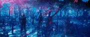 Filename=extant_StarTrekDiscovery_2x05-SaintsOfImperfection_02300.jpg
Filesize=267KiB
Dimensions=1920x800
Date added=Dec 08, 2019 extant_StarTrekDiscovery_2x05-SaintsOfImperfection_02300.jpg