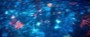 extant_StarTrekDiscovery_2x05-SaintsOfImperfection_02799.jpg