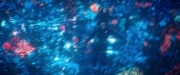 Filename=extant_StarTrekDiscovery_2x05-SaintsOfImperfection_02800.jpg
Filesize=176KiB
Dimensions=1920x800
Date added=Dec 08, 2019 extant_StarTrekDiscovery_2x05-SaintsOfImperfection_02800.jpg