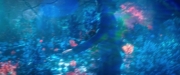 Filename=extant_StarTrekDiscovery_2x05-SaintsOfImperfection_02804.jpg
Filesize=131KiB
Dimensions=1920x800
Date added=Dec 08, 2019 extant_StarTrekDiscovery_2x05-SaintsOfImperfection_02804.jpg