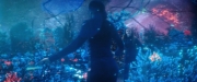 Filename=extant_StarTrekDiscovery_2x05-SaintsOfImperfection_02805.jpg
Filesize=157KiB
Dimensions=1920x800
Date added=Dec 08, 2019 extant_StarTrekDiscovery_2x05-SaintsOfImperfection_02805.jpg